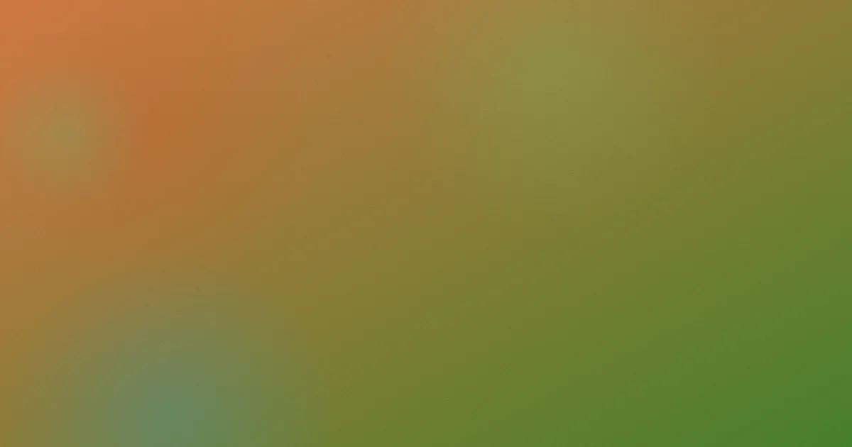 shabby值得吗：先看这5步